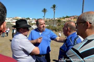 Muestra de ganado de las fiestas del patrono de Telde (Foto  Francisco Javier Santana)